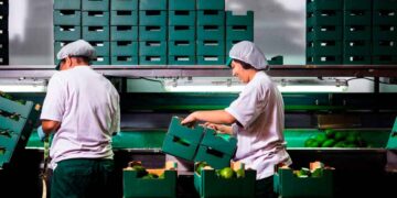 La empresa Axarfruit busca personal sin titulación ni experiencia requeridas.